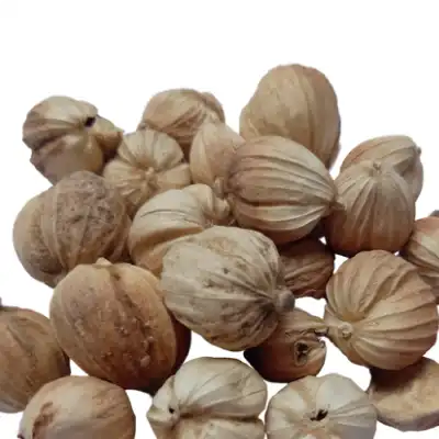 Cardamom 1