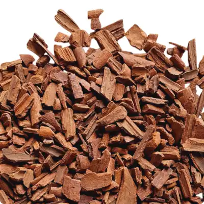 Cassia Broken KABC 1