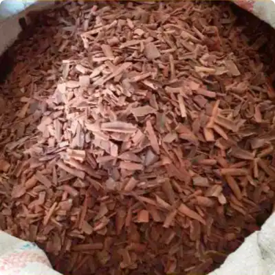 Cassia Broken KABC 3