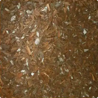 Cassia Broken KBBC 1 (Unserapped)